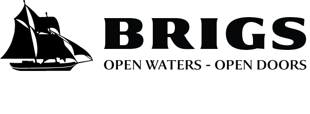 brigs logo